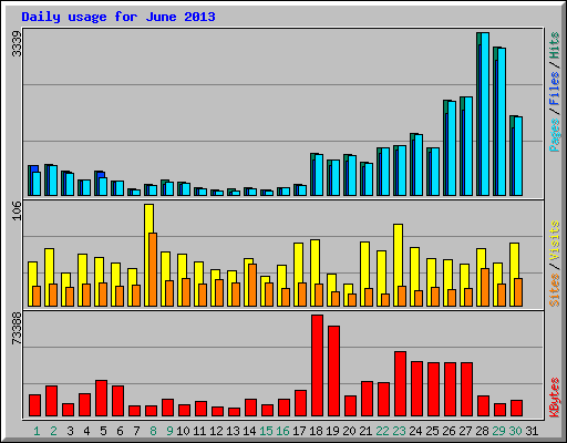 Daily usage for June 2013