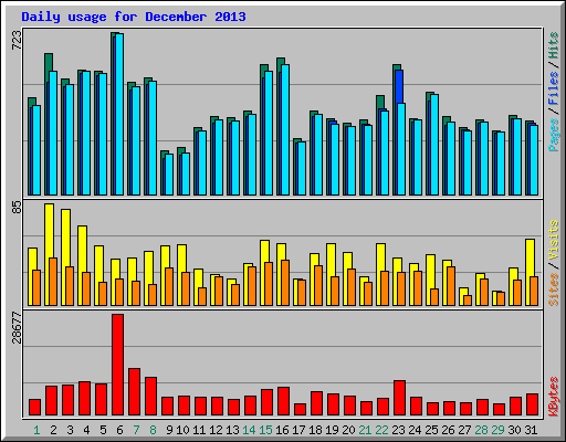 Daily usage for December 2013