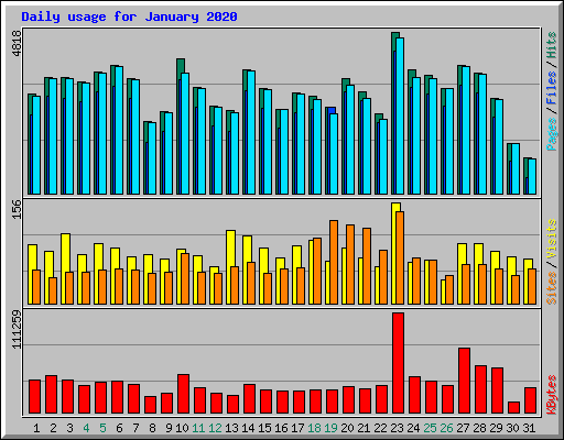 Daily usage for January 2020