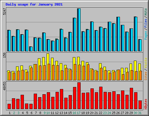 Daily usage for January 2021