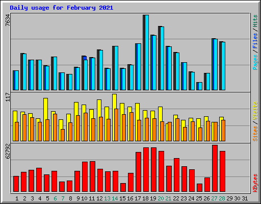 Daily usage for February 2021