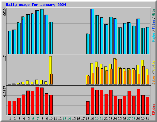 Daily usage for January 2024