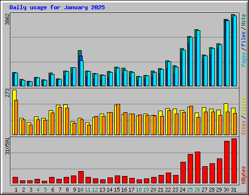 Daily usage for January 2025