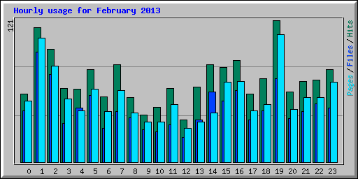 Hourly usage for February 2013