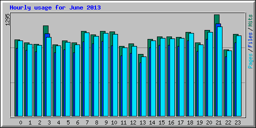 Hourly usage for June 2013