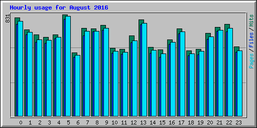 Hourly usage for August 2016