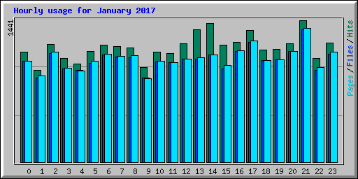 Hourly usage for January 2017