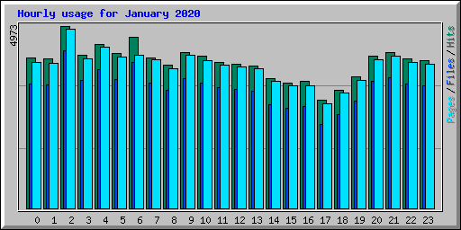 Hourly usage for January 2020