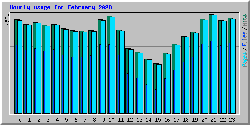 Hourly usage for February 2020