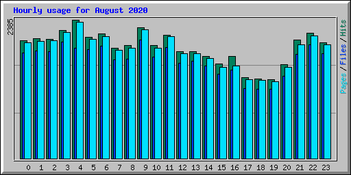 Hourly usage for August 2020