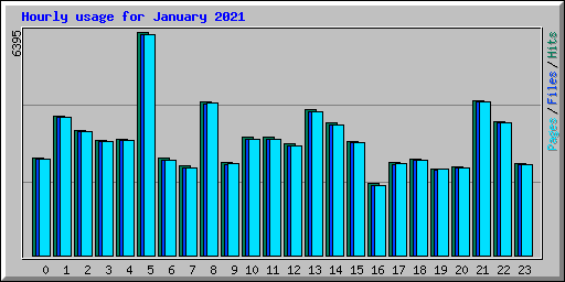 Hourly usage for January 2021
