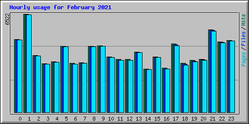 Hourly usage for February 2021