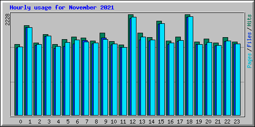 Hourly usage for November 2021