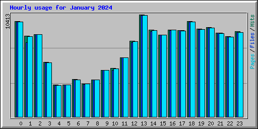 Hourly usage for January 2024