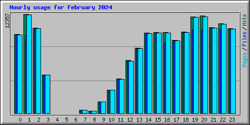 Hourly usage for February 2024