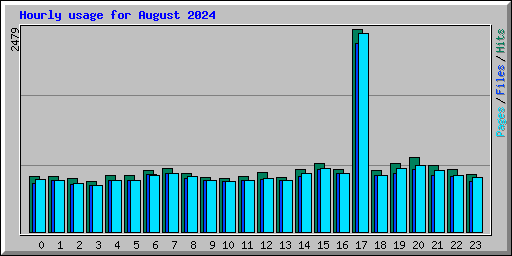 Hourly usage for August 2024