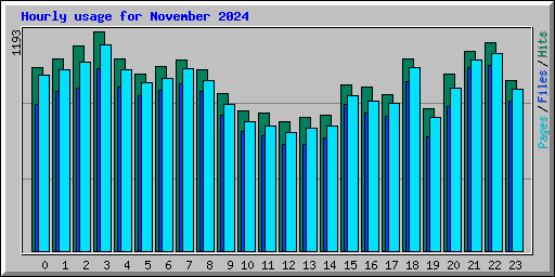 Hourly usage for November 2024