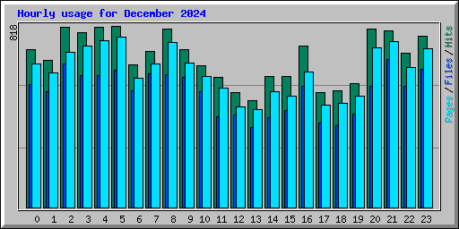 Hourly usage for December 2024