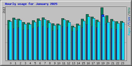 Hourly usage for January 2025