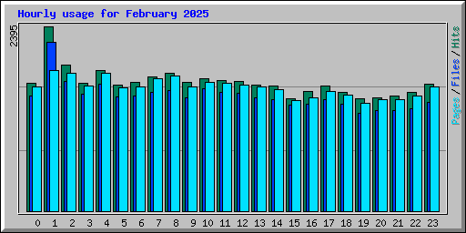 Hourly usage for February 2025