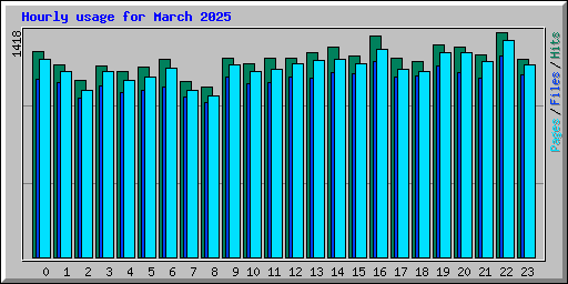Hourly usage for March 2025