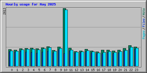 Hourly usage for May 2025