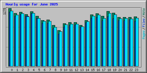 Hourly usage for June 2025
