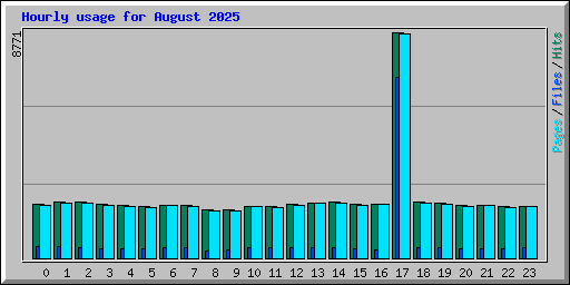 Hourly usage for August 2025