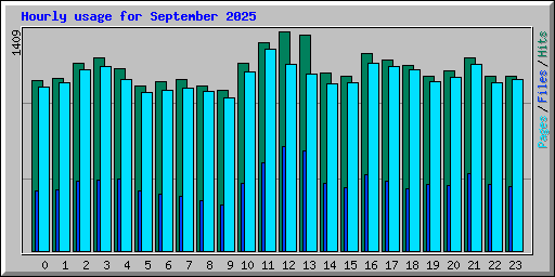Hourly usage for September 2025