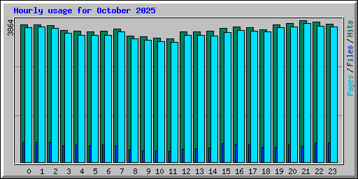 Hourly usage for October 2025