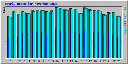 Hourly usage for November 2025