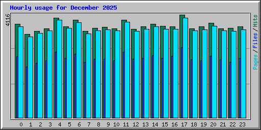 Hourly usage for December 2025