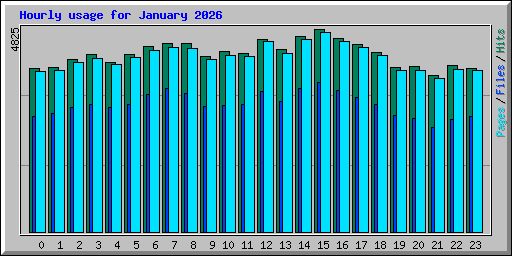 Hourly usage for January 2026