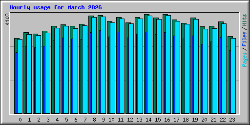 Hourly usage for March 2026