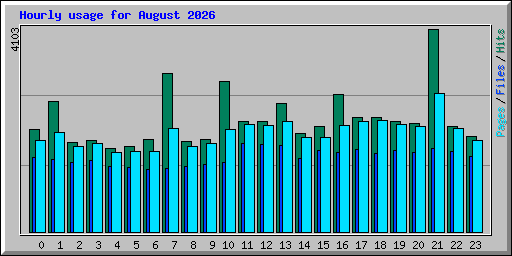 Hourly usage for August 2026